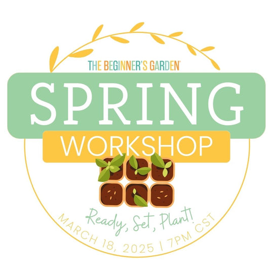 2025 Spring Workshop Replay