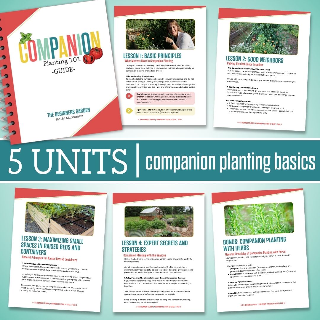 Companion Planting 101 Guide