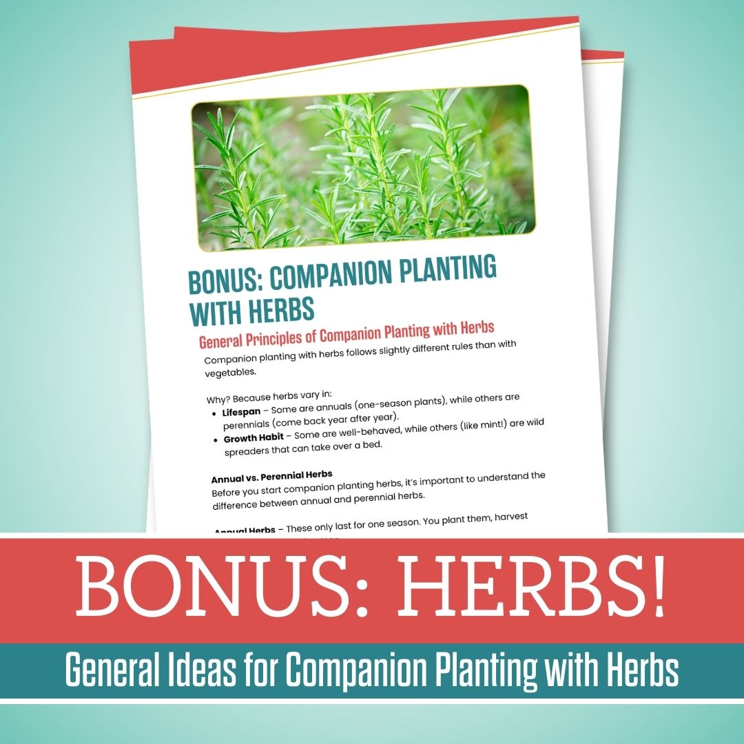 Companion Planting 101 Guide