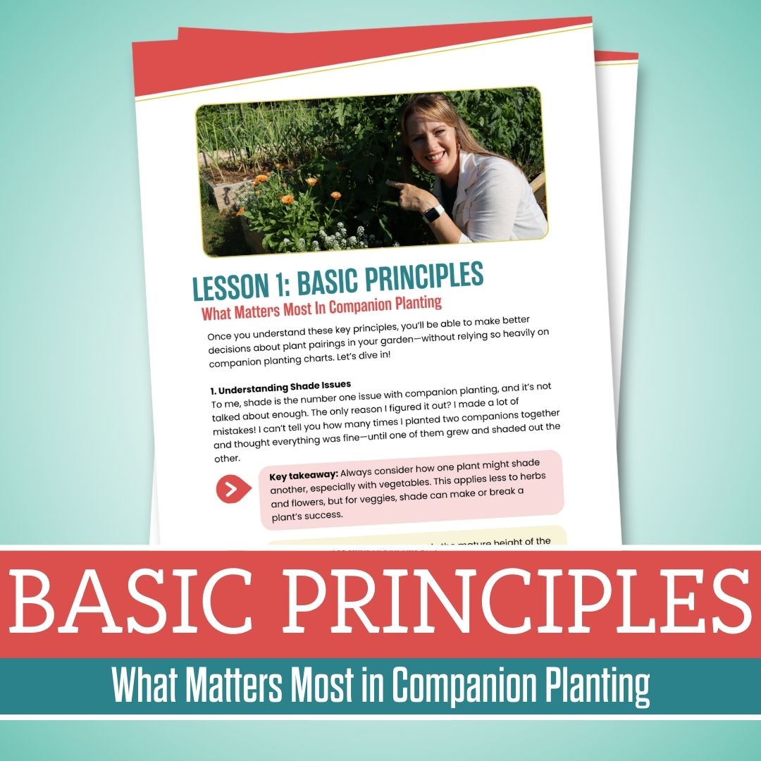 Companion Planting 101 Guide