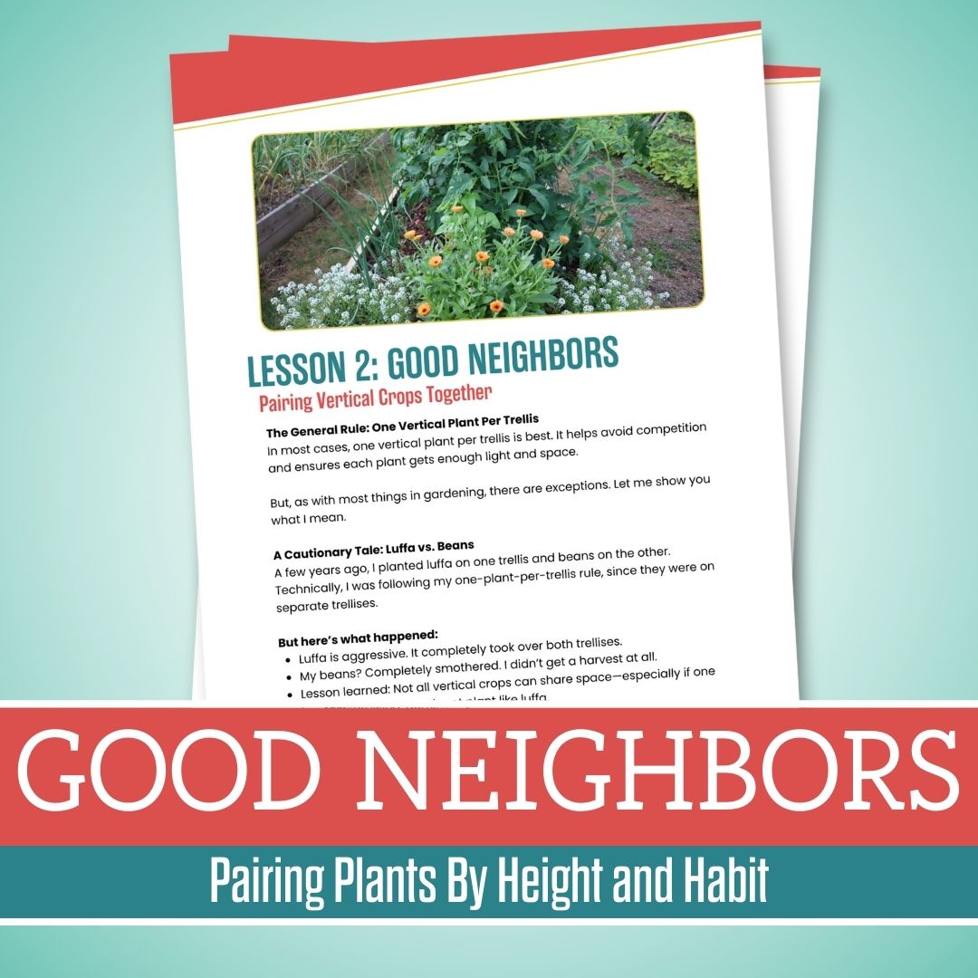 Companion Planting 101 Guide
