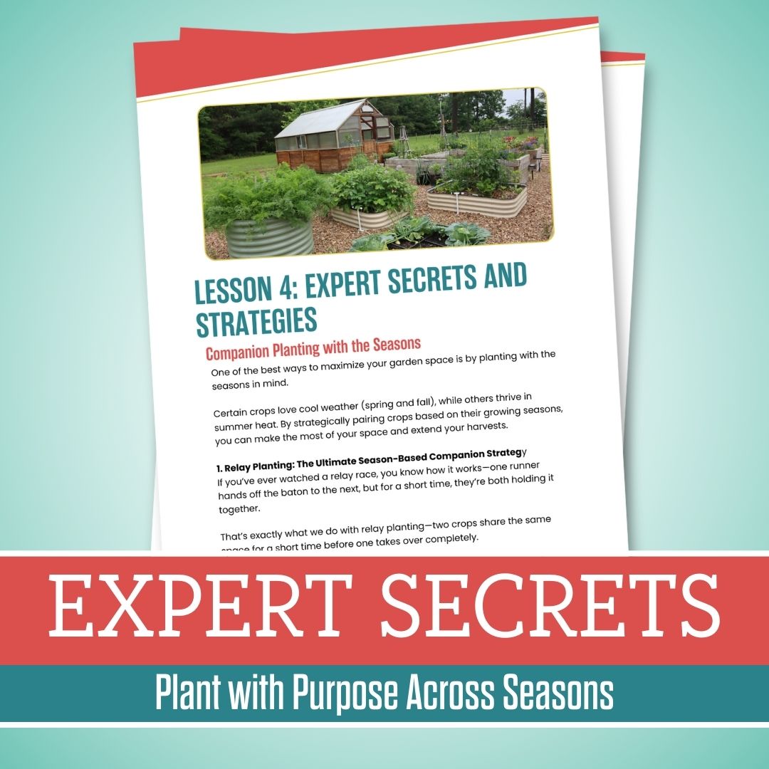 Companion Planting 101 Guide