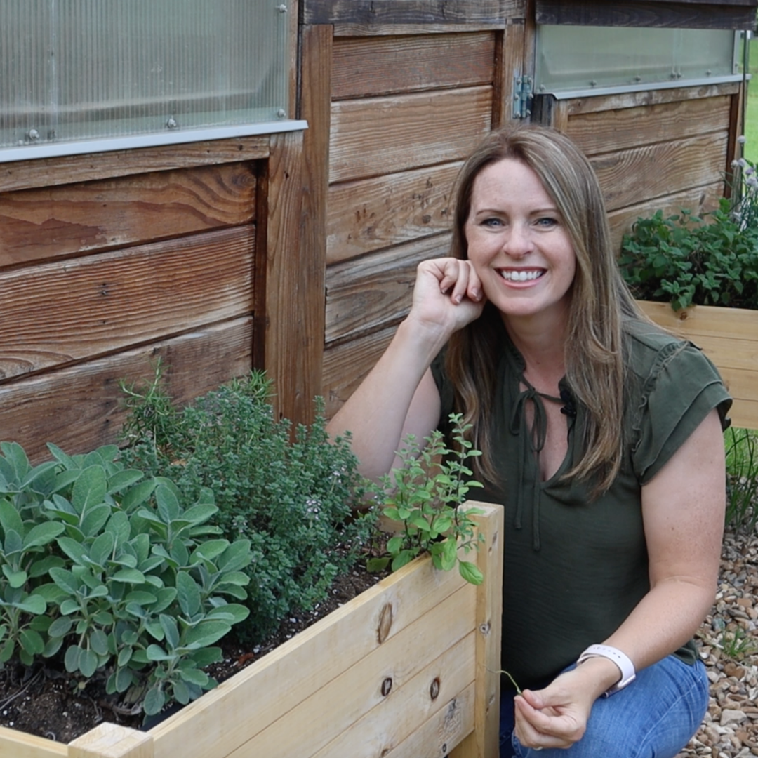 Everyday Kitchen Herbs Workshop - Herb Growing CustomGPT