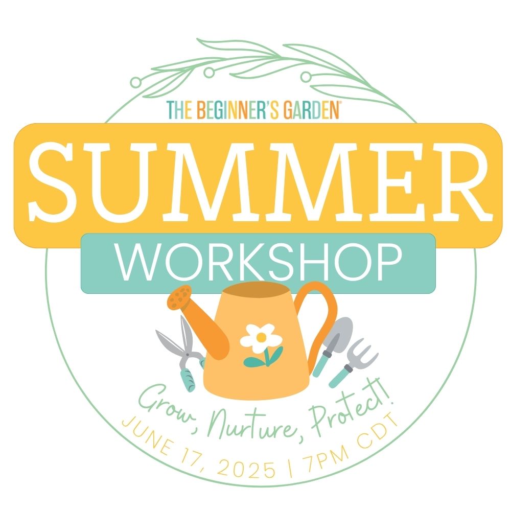 2025 Summer Workshop Replay