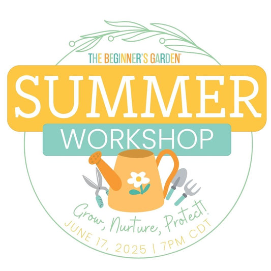 2025 Summer Workshop Replay