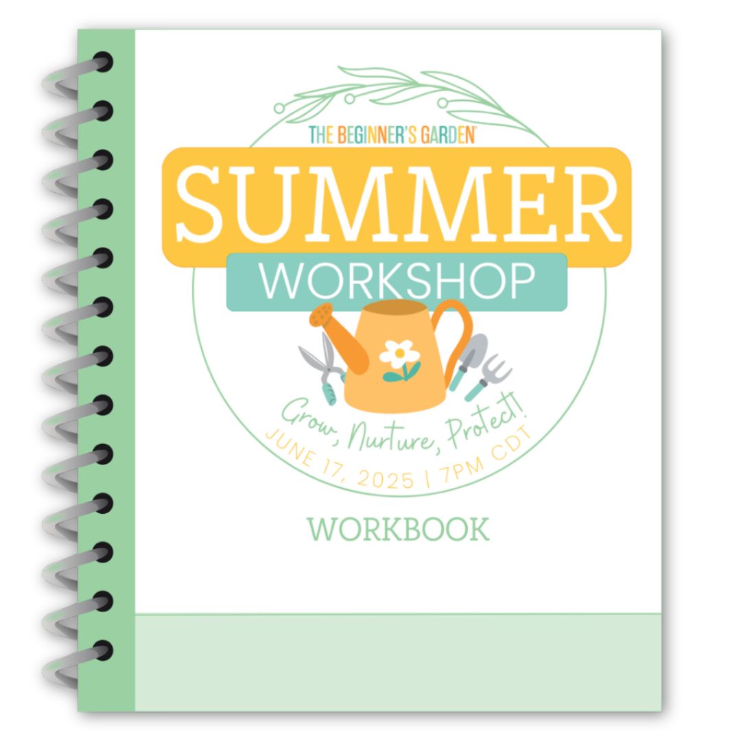 2025 Summer Workshop Replay