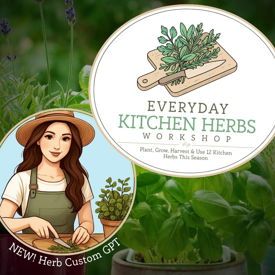 Everyday Kitchen Herbs Workshop - Herb Growing CustomGPT