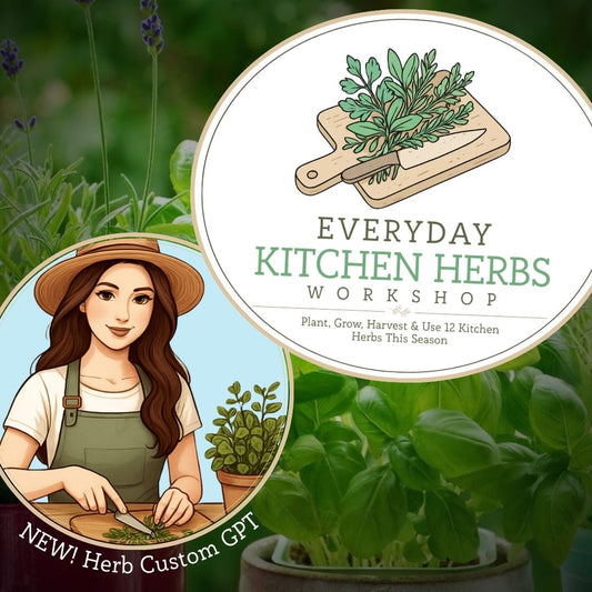 Everyday Kitchen Herbs Workshop - Herb Growing CustomGPT