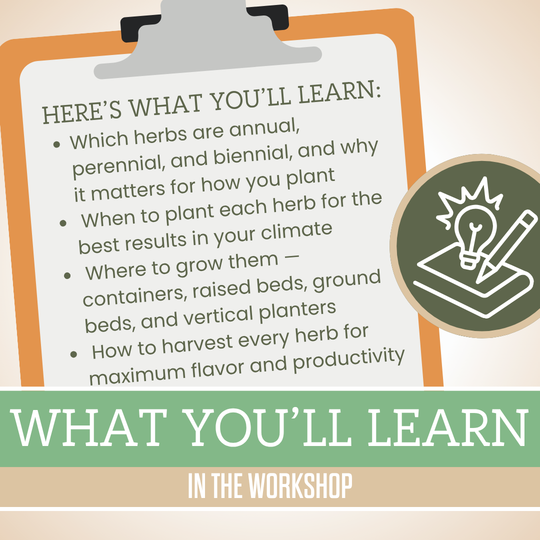 Everyday Kitchen Herbs Workshop - Herb Growing CustomGPT