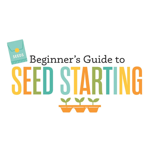 The Beginners Guide to Seed Starting