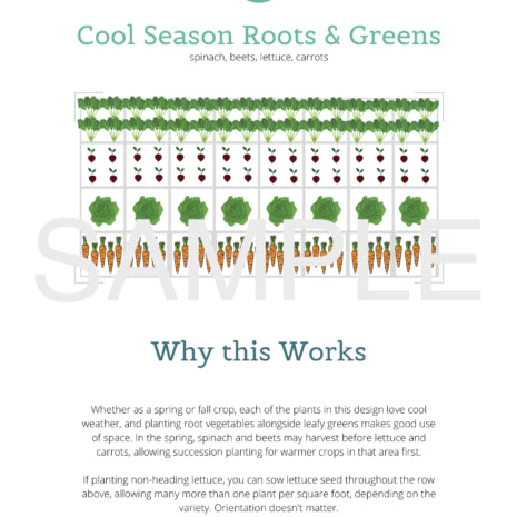 Raised Bed Garden Layout Designs